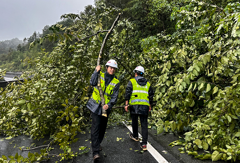 清理倒伏樹木 (2).jpg 清理倒伏樹木 (2).jpg