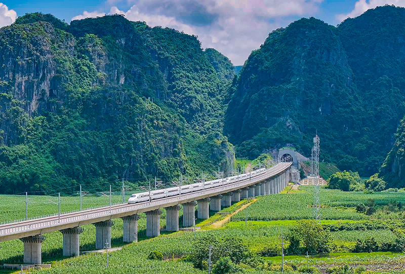 秋日奮斗圖鑒 | 廣西交通投資集團(tuán)鐵路項(xiàng)目建設(shè)“豐”景正好